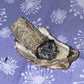 Smudging Kits and Tools