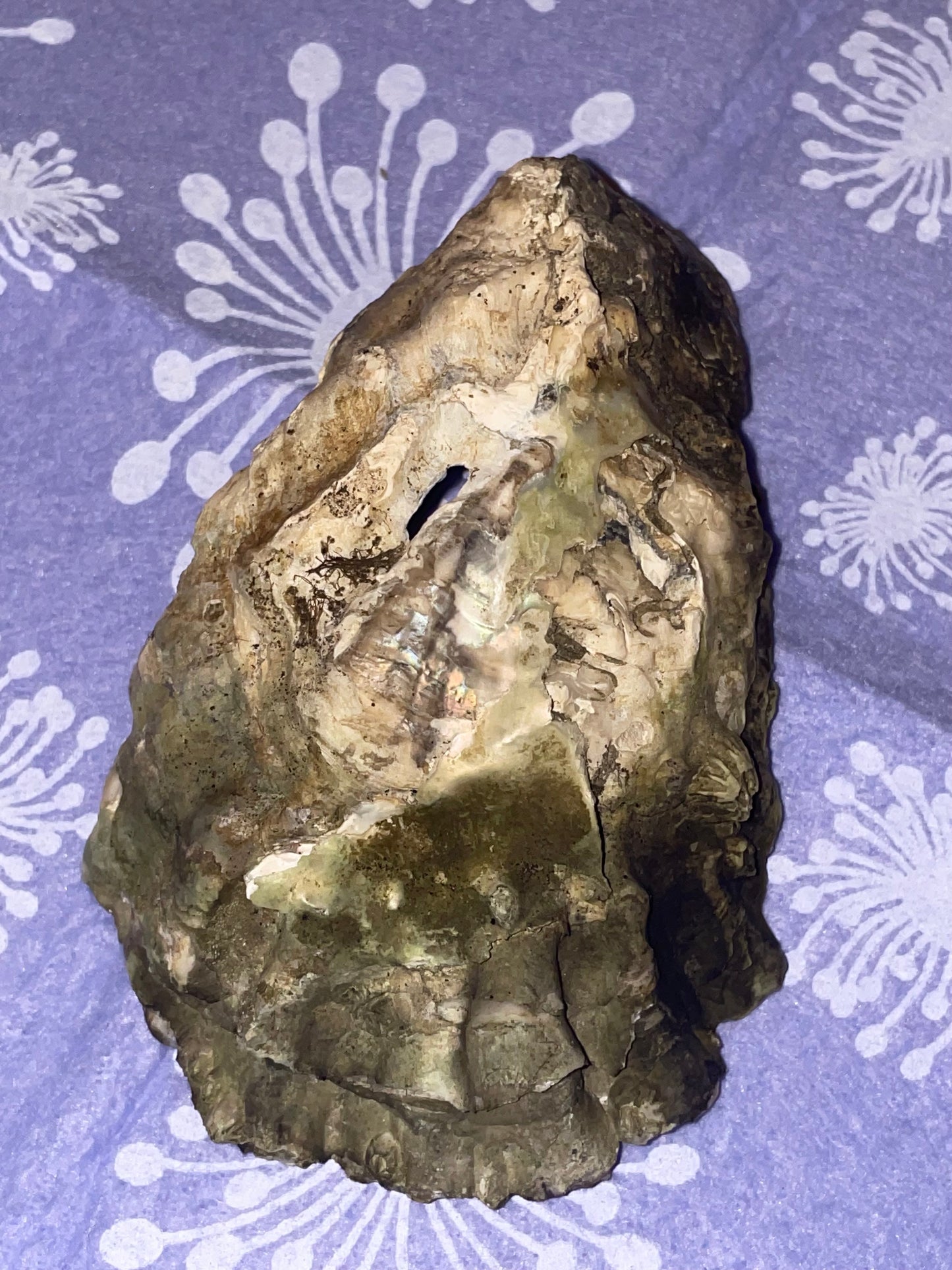 Smudging Kits and Tools
